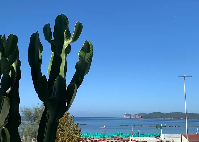 Cactus On The Beach